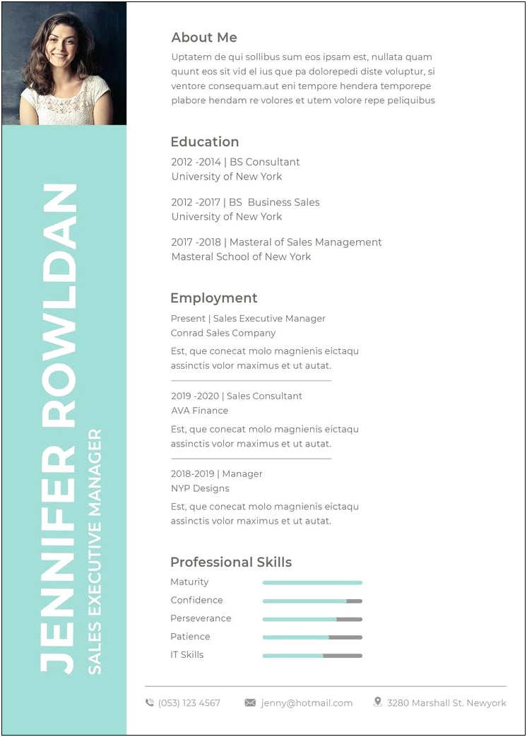 It Executive Resume Sample Free Download