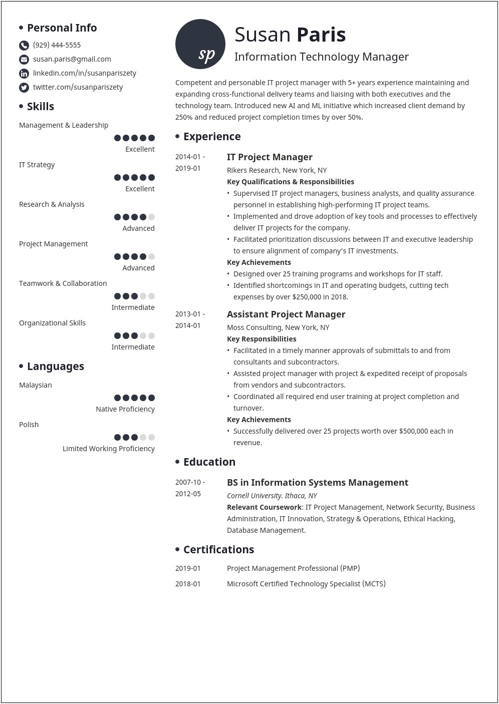 It Manager Resume Understanding State Local Naspo