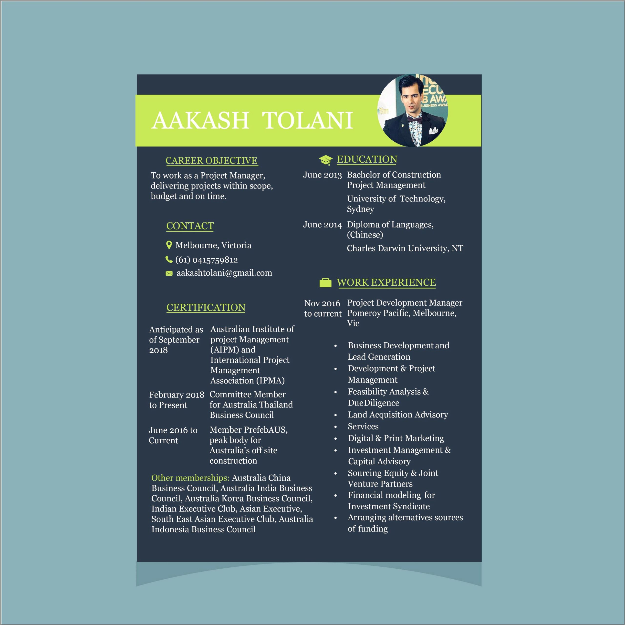 It Project Manager Resume Writing Service