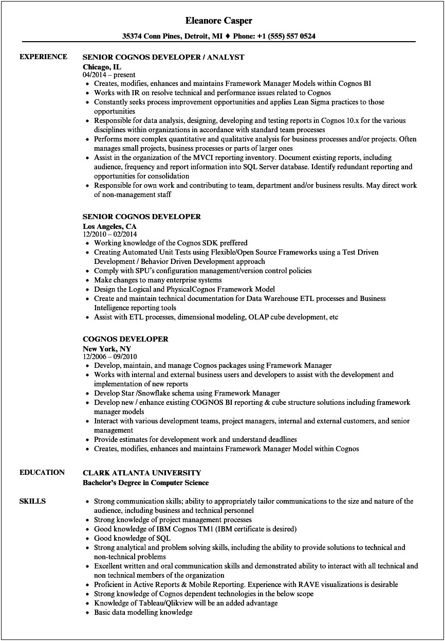 Jasper Reports Summary Points For Resume