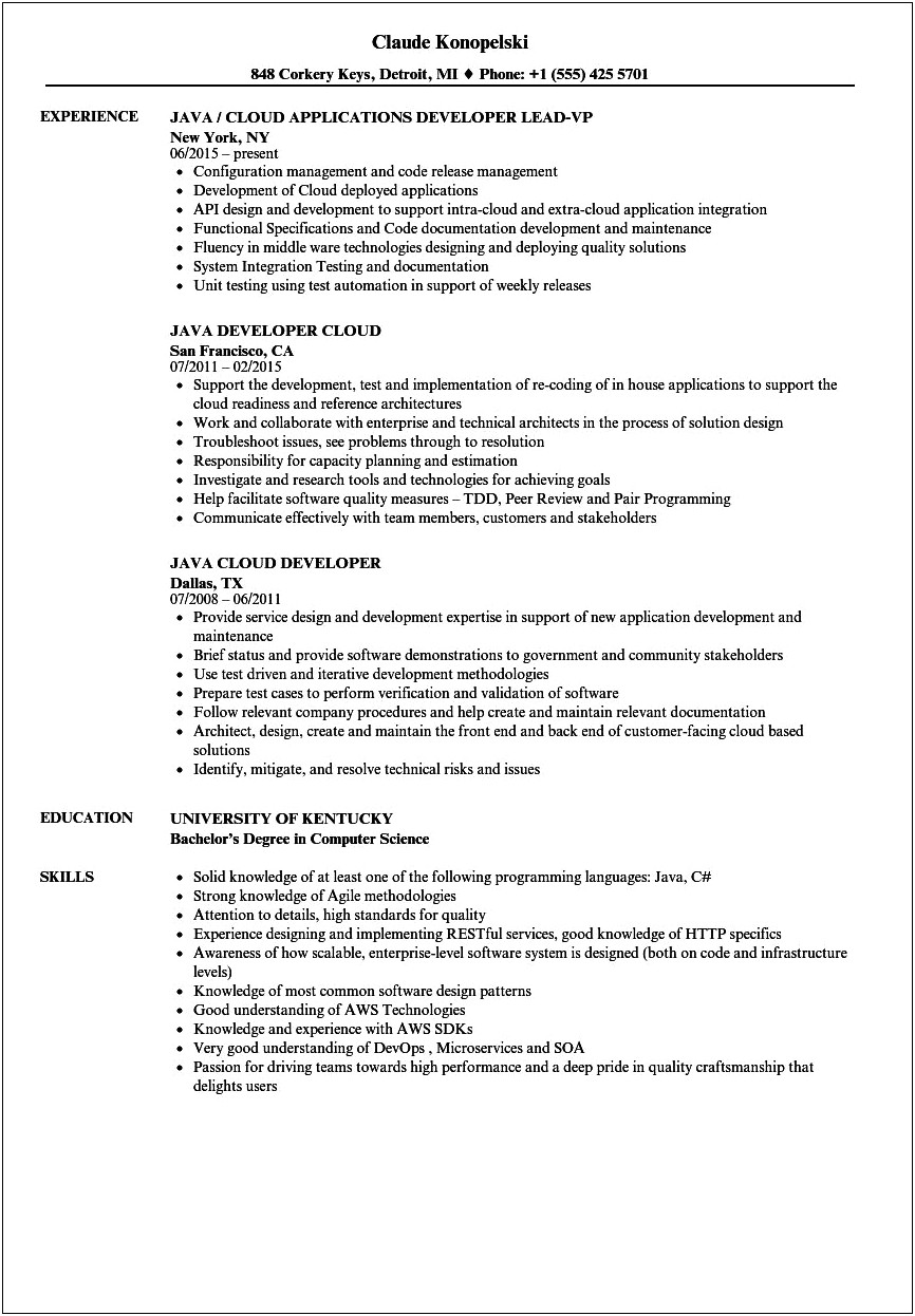 Java Entry Level Job Resume Doc