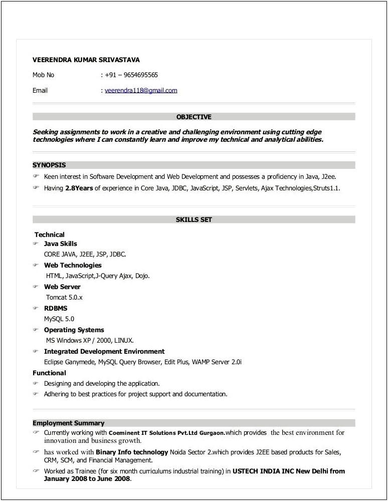 Java J2ee Developers Resume With Coty Experience
