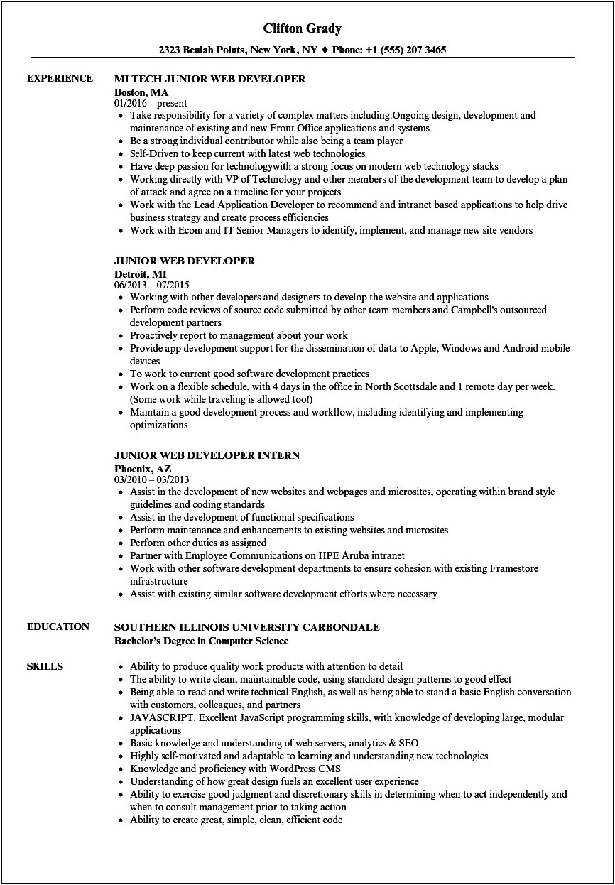 Job Description For Web Designer And Developer Resume