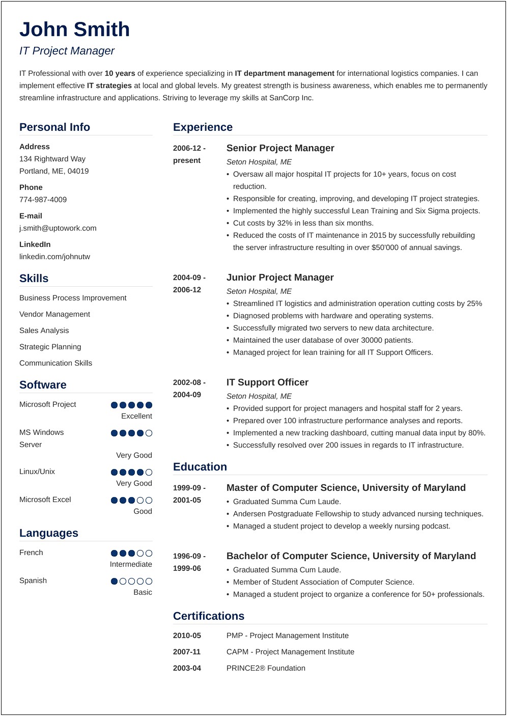 Junior It Project Manager Resume Sample