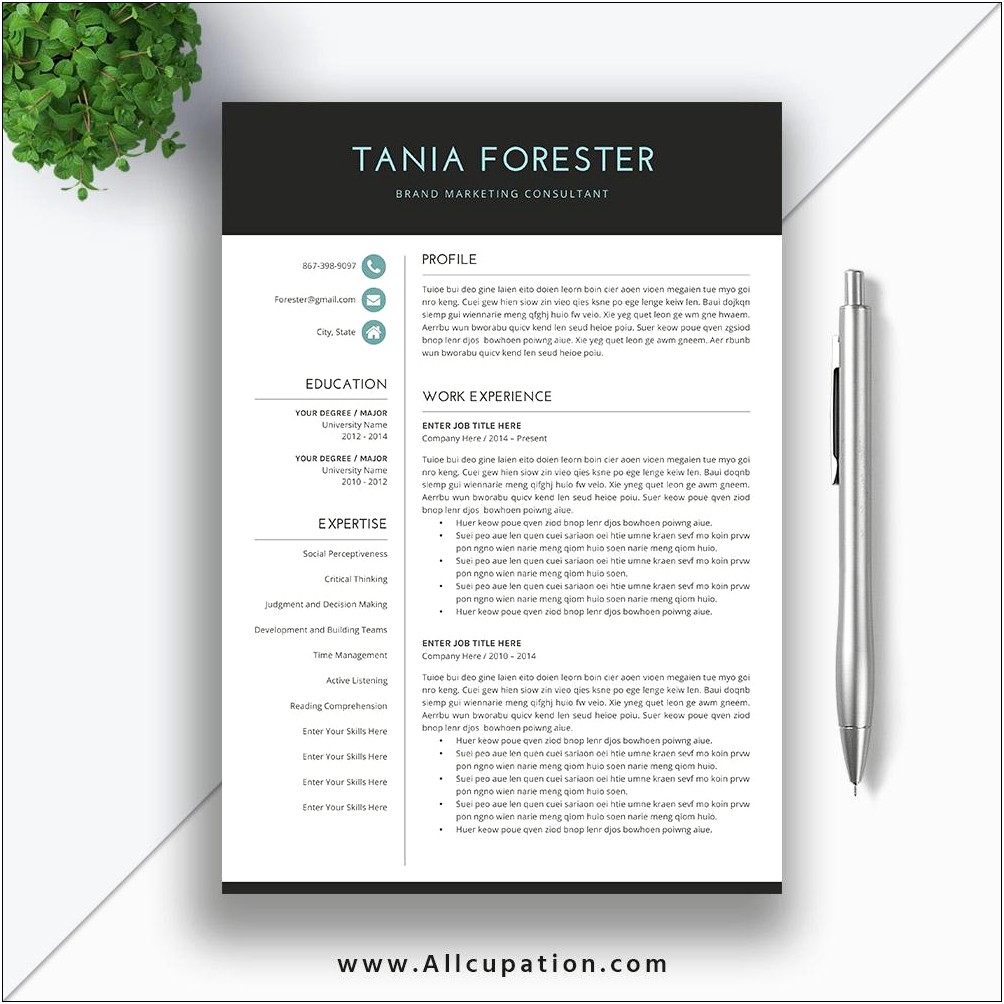 Layout In Word For A Resume
