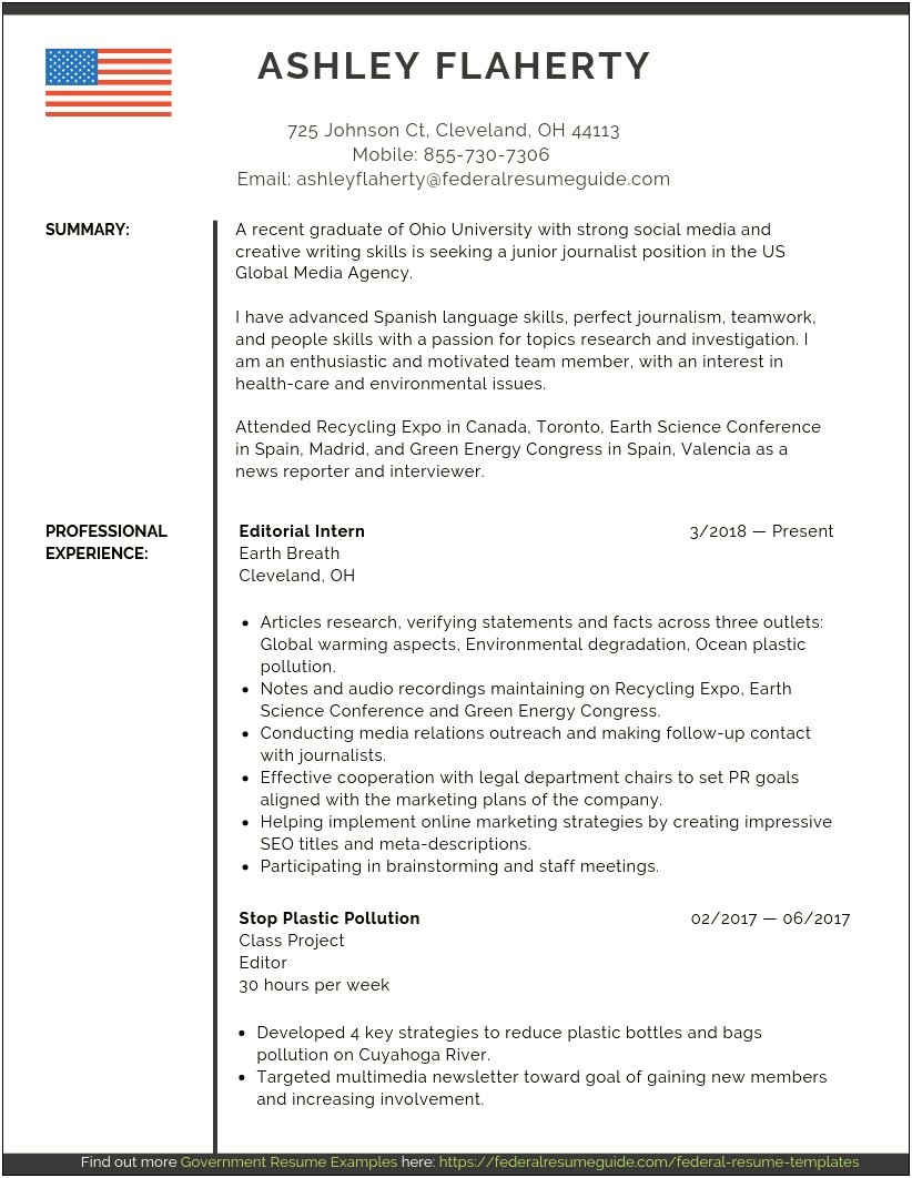 Level Of Experience Resume Federal Resume