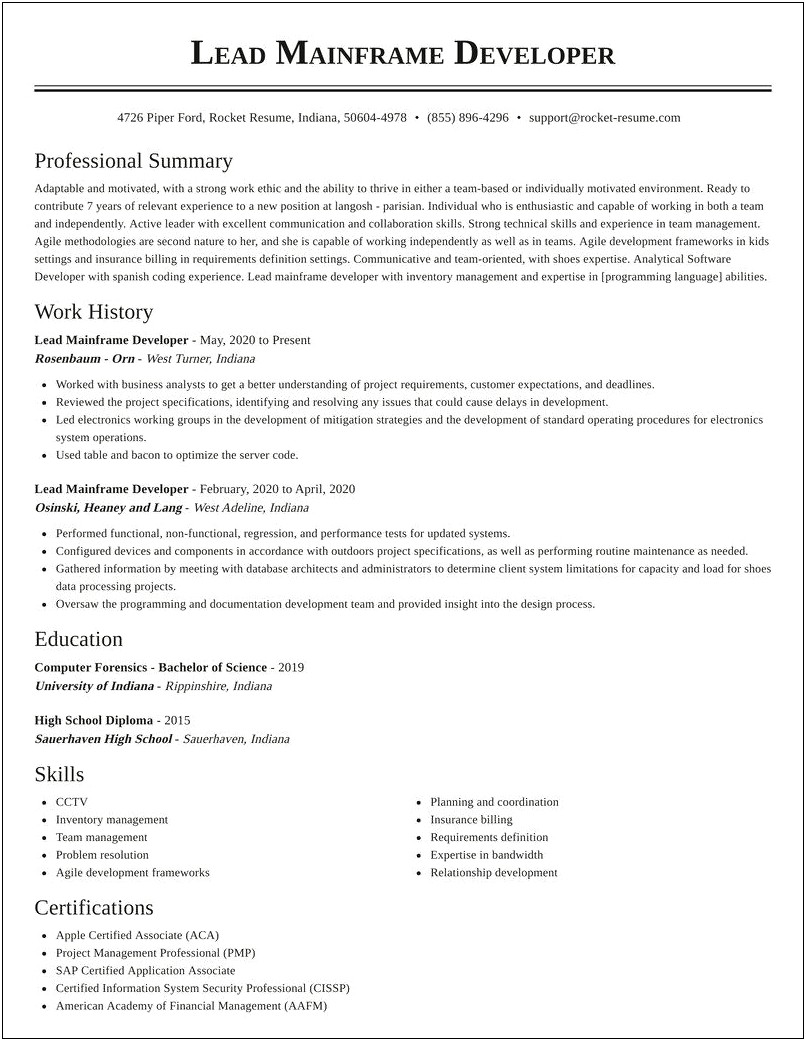 Mainframe Resume With Automotive Domain Experience