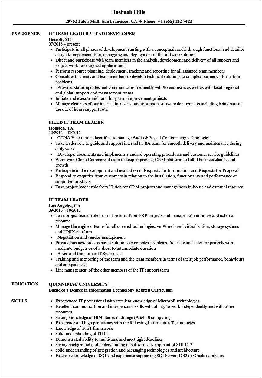 Managing A Team Of Professionals Resume