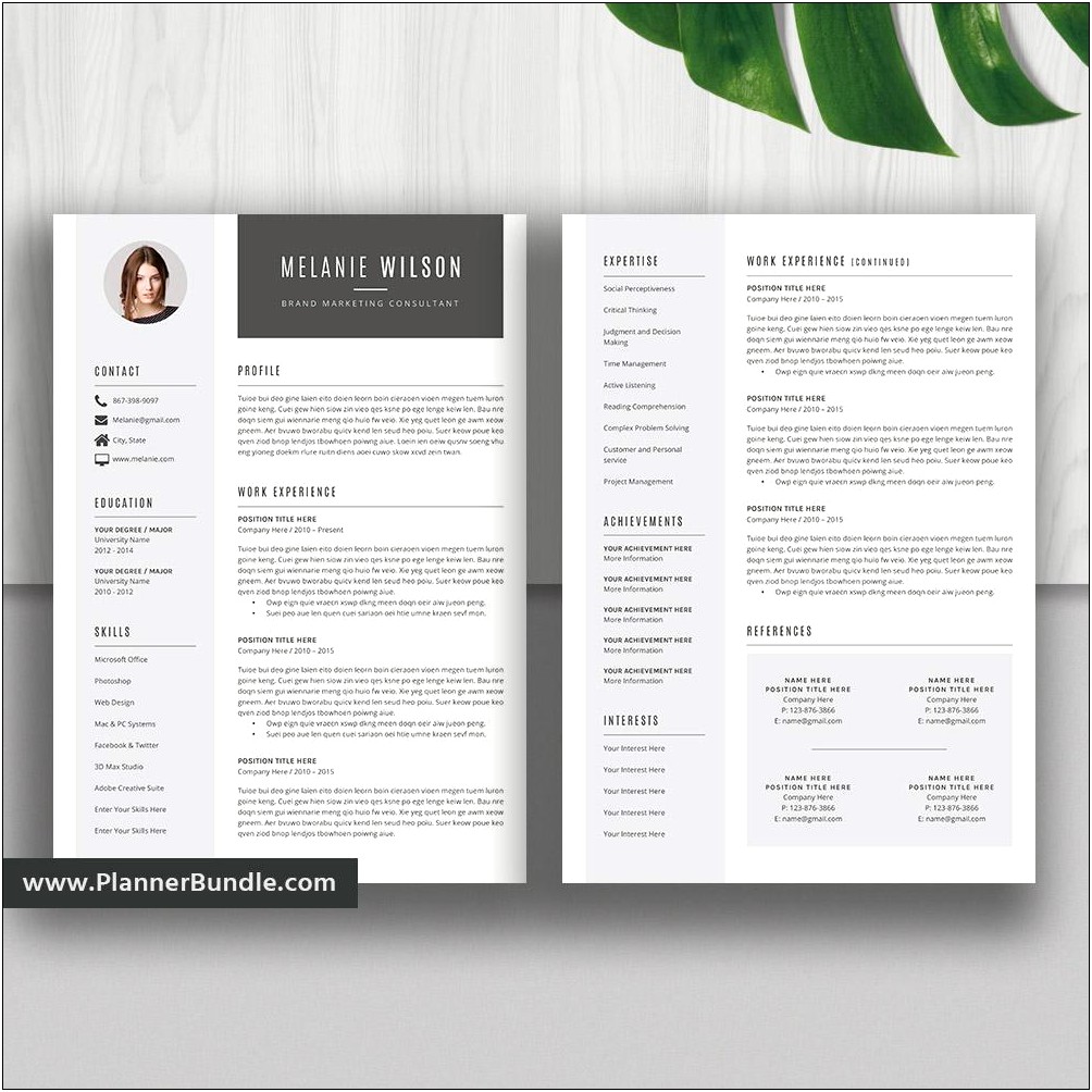 Microsoft Word Teacher Resume Template Free