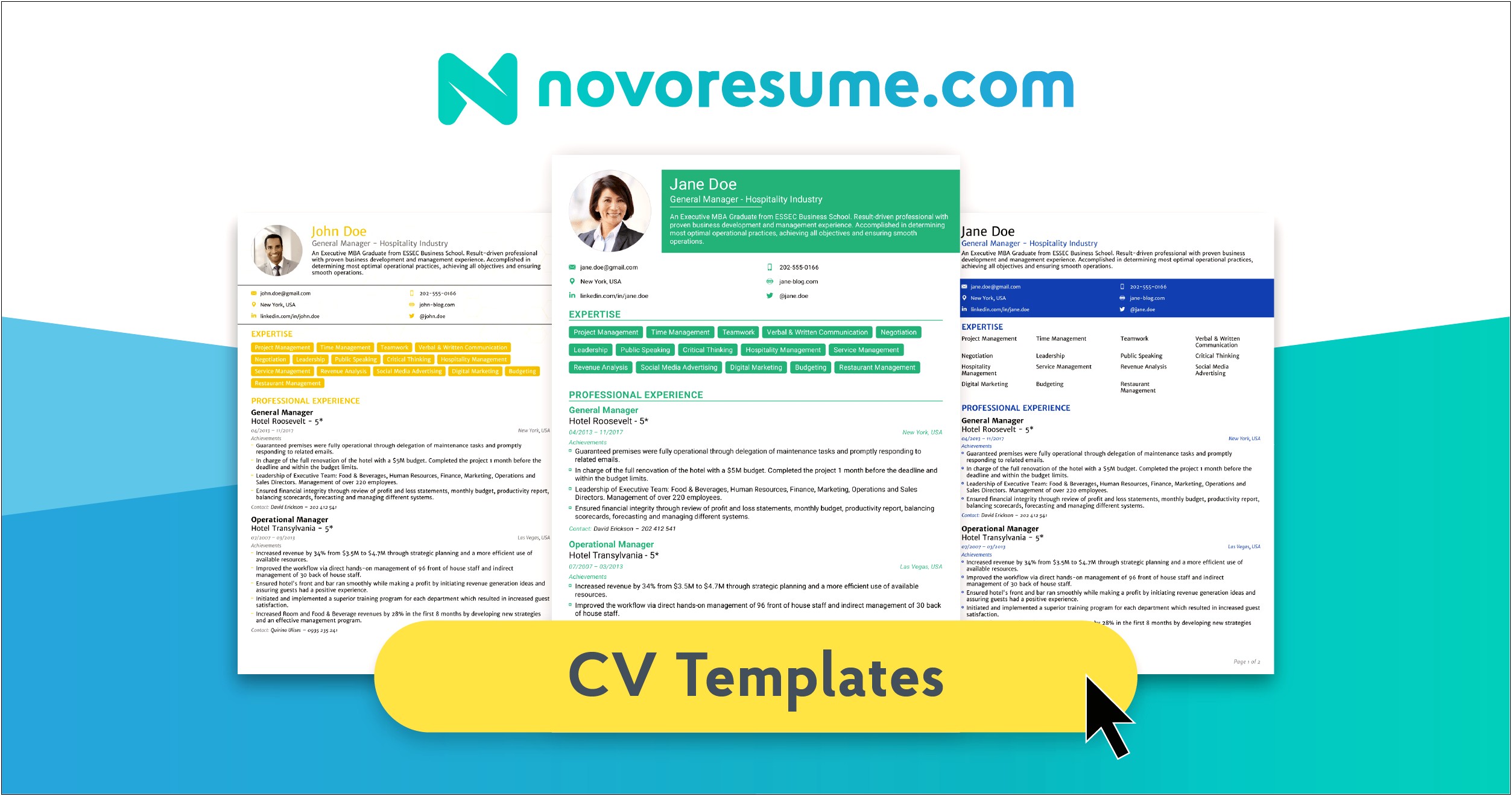 Novo Resume Project Manager Exampl E
