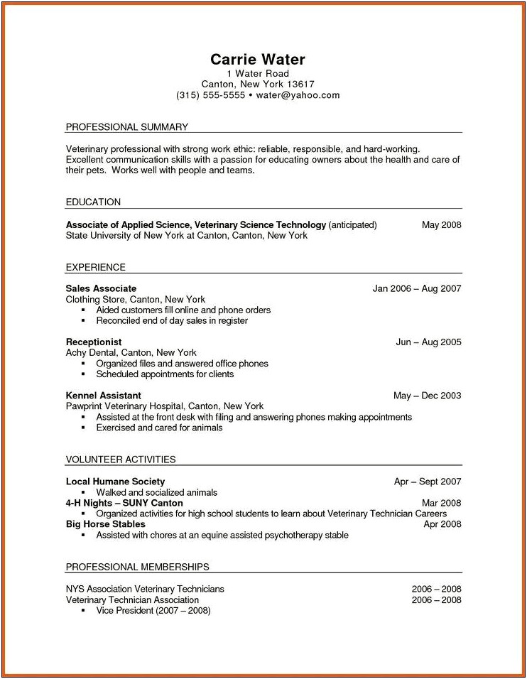 Pinterest Summary Ideas For Resume Veterinary