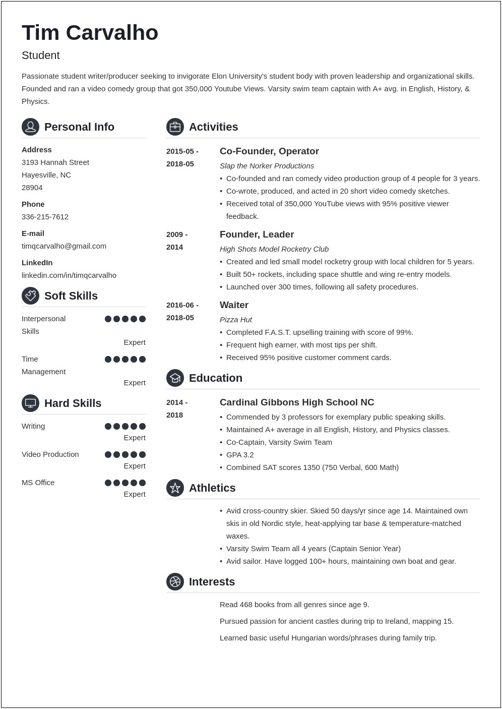 Princeton Review High School Resume Template