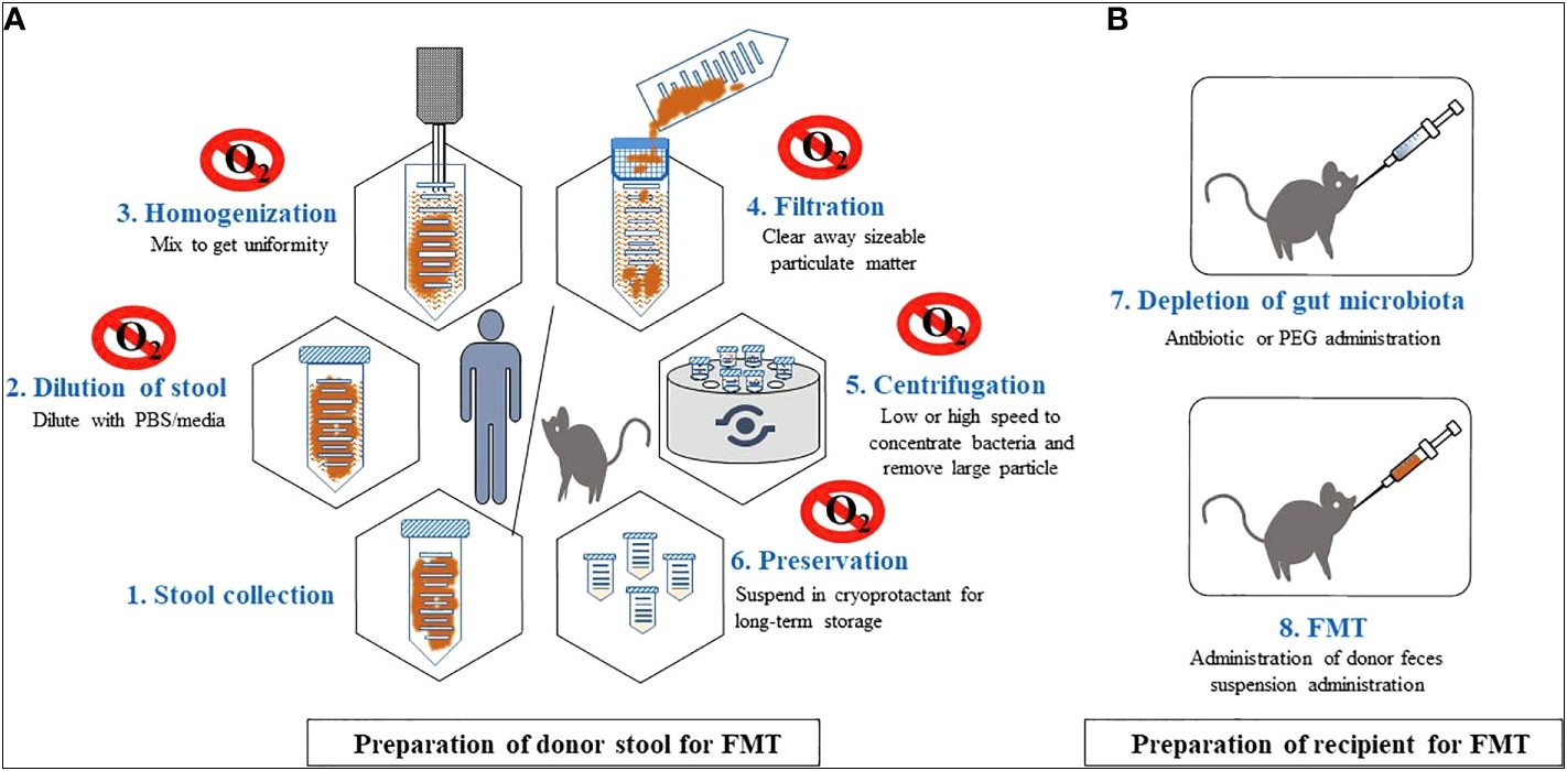 Process Stool Samples In Lab Resume