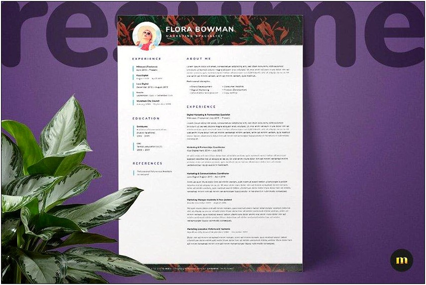 Profession One Page Cv Resume Theme Free Download