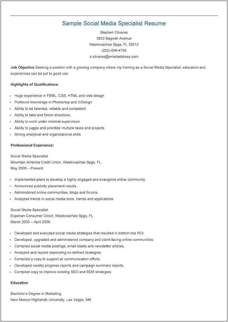 Professiona Summary For Resume For Media Specialist