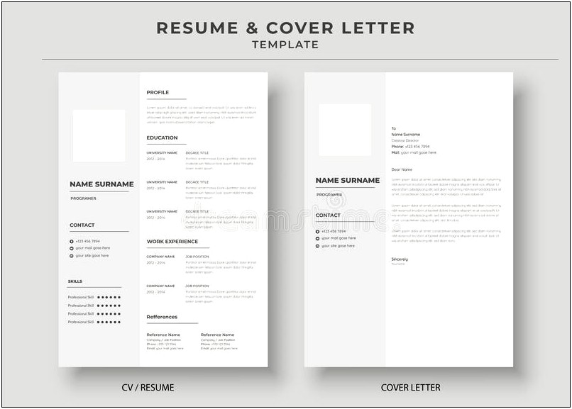 Professional Format Of Resume And Cover Letter