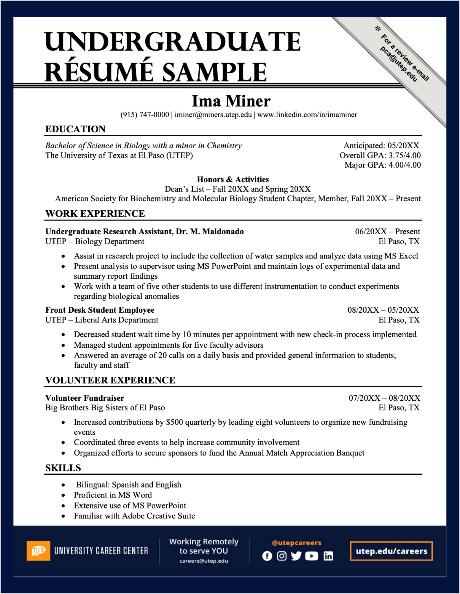 Professional Job Application Resume Format Pdf