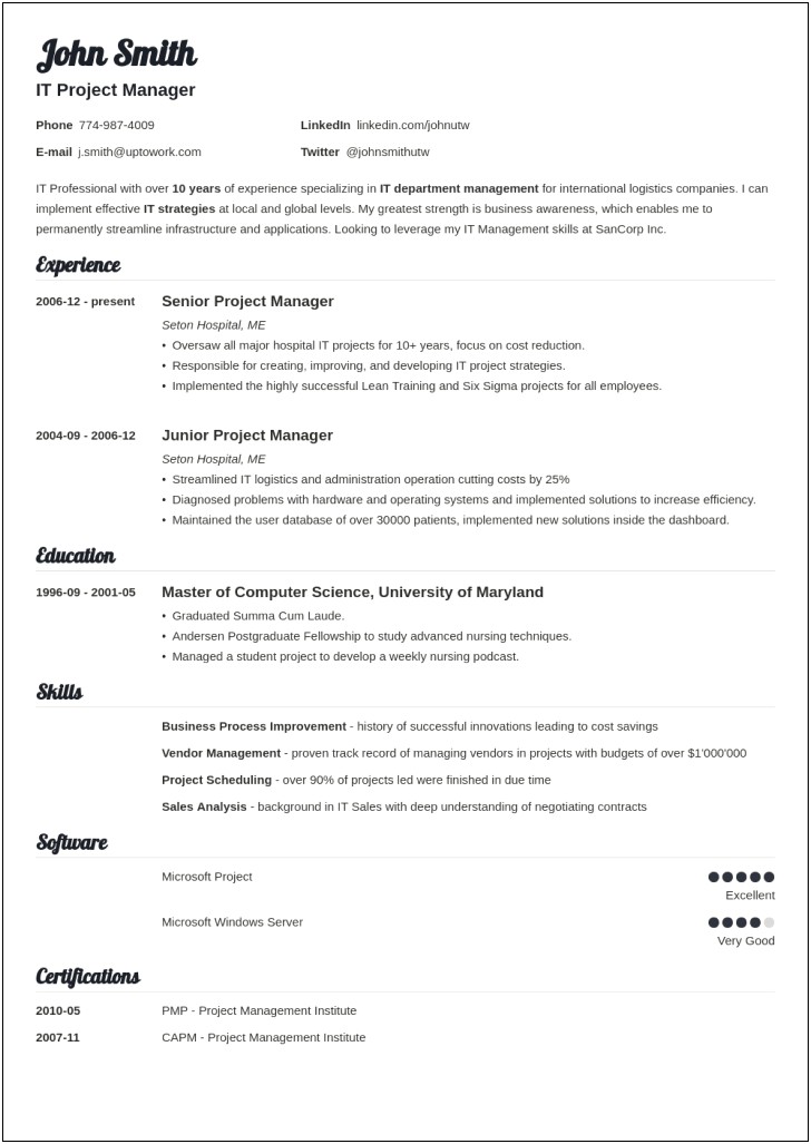 Professional Resume Template For Academic Employment