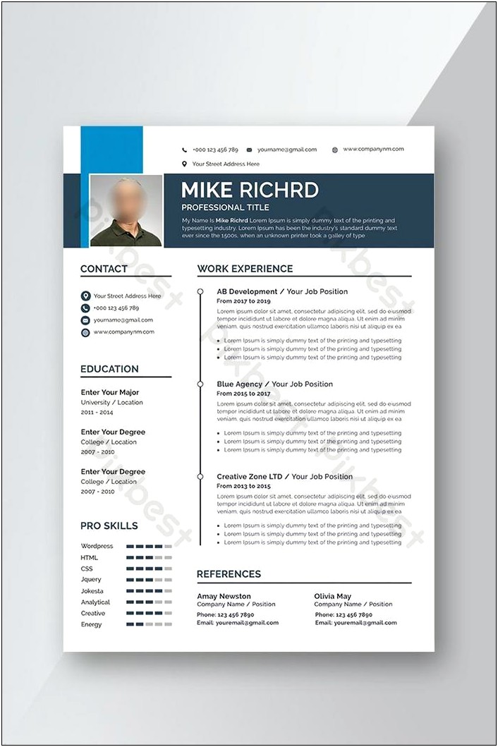 Professional Resume Templates Word Free Download