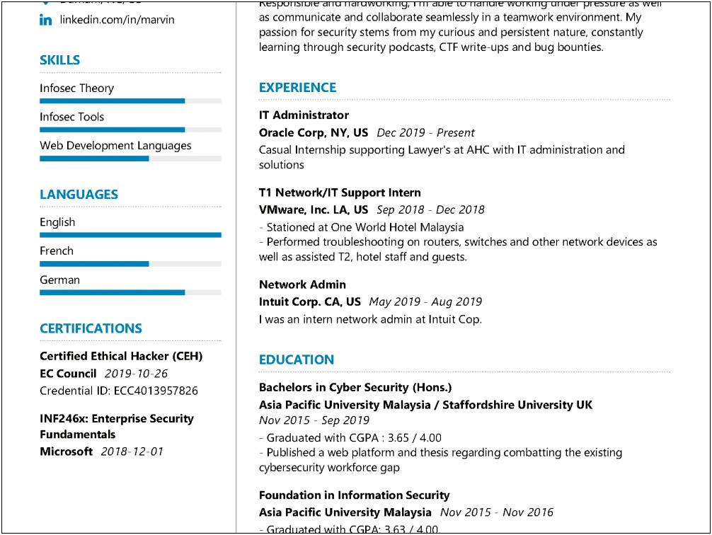 Professional Skills For Information Assurance Resume