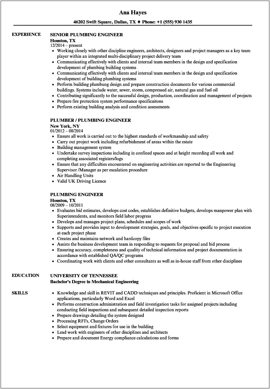 Professional Summary Examples For Resume In Plumbing