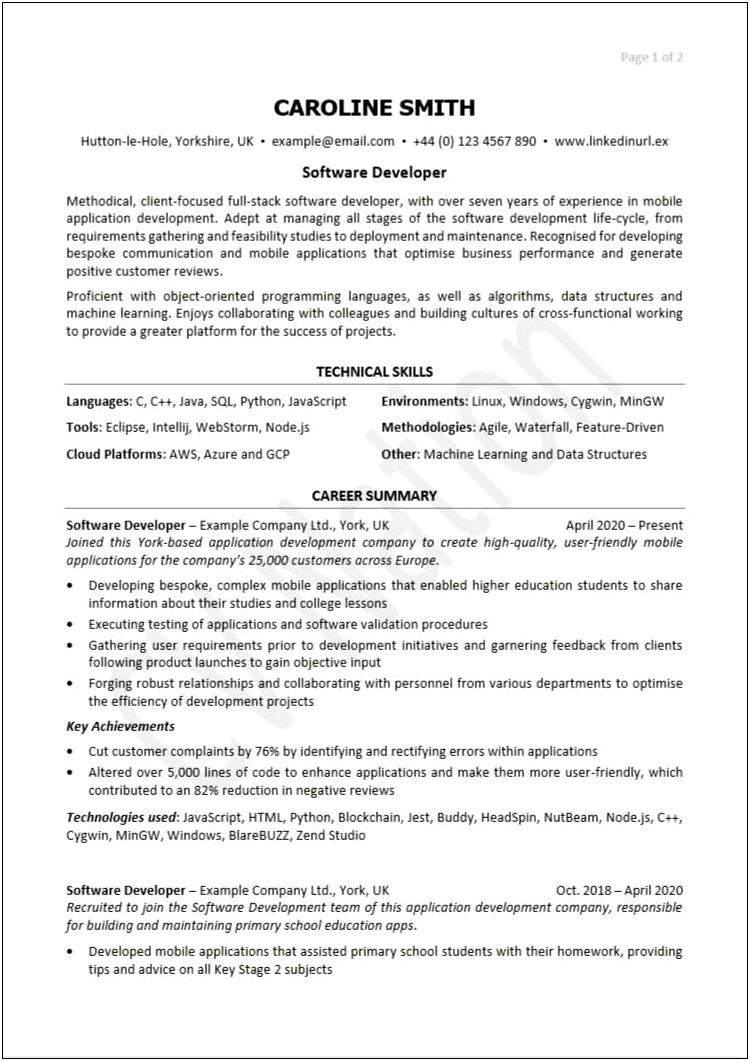 Professional Summary In Resume For Developer
