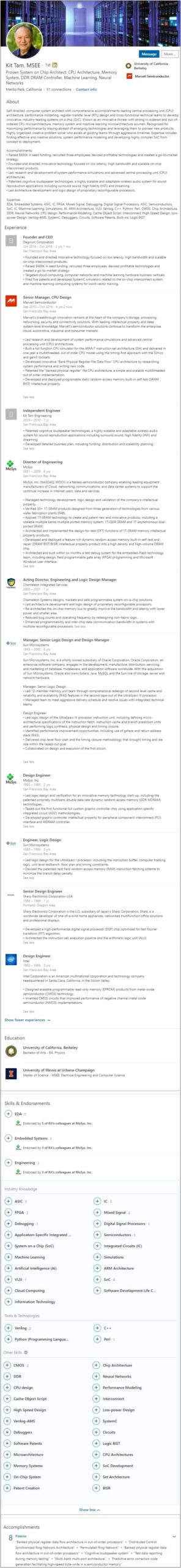 Professional Summary Silicon Valley Resume Cv Sales