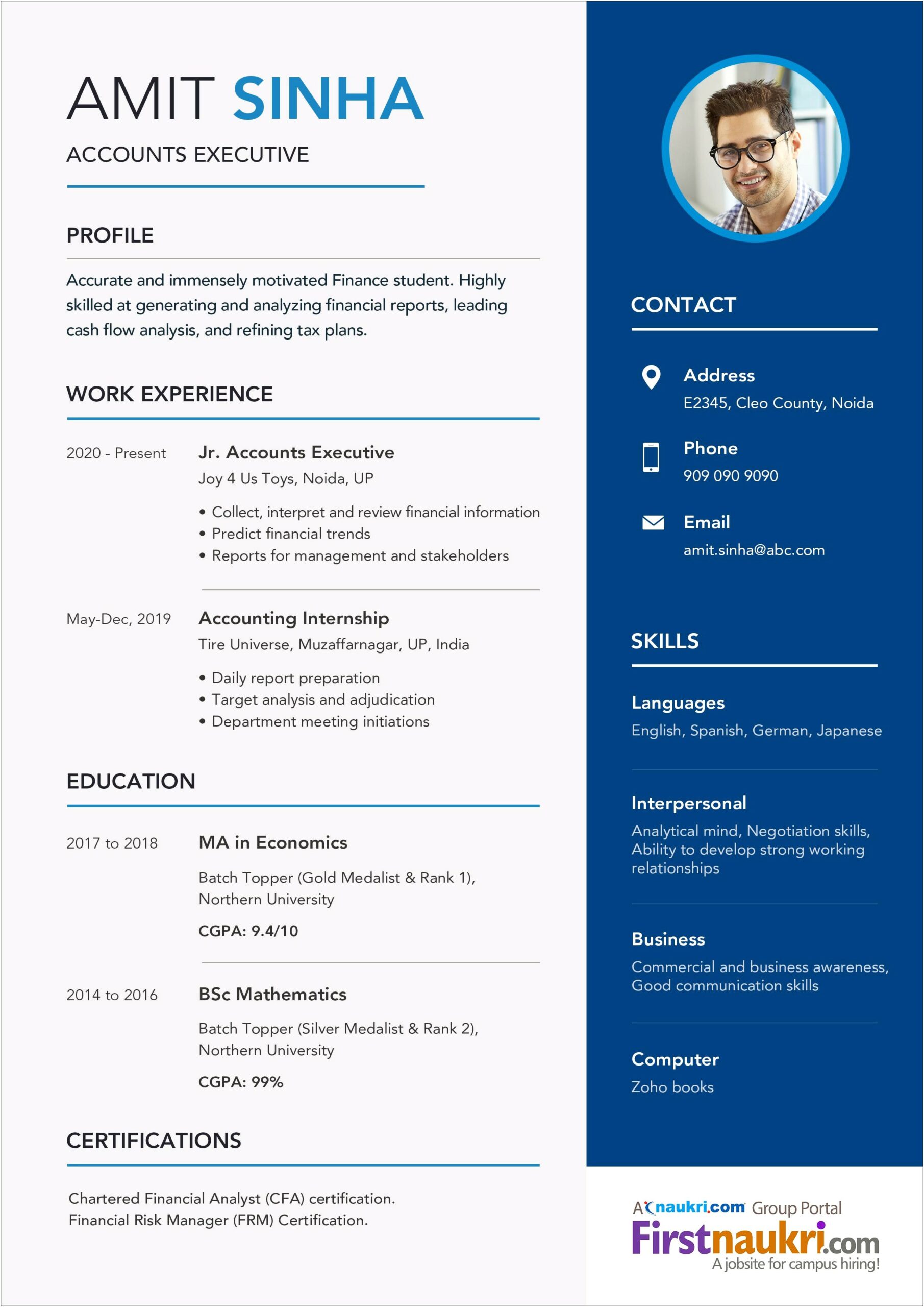 Project Based Resume Example For Accountant