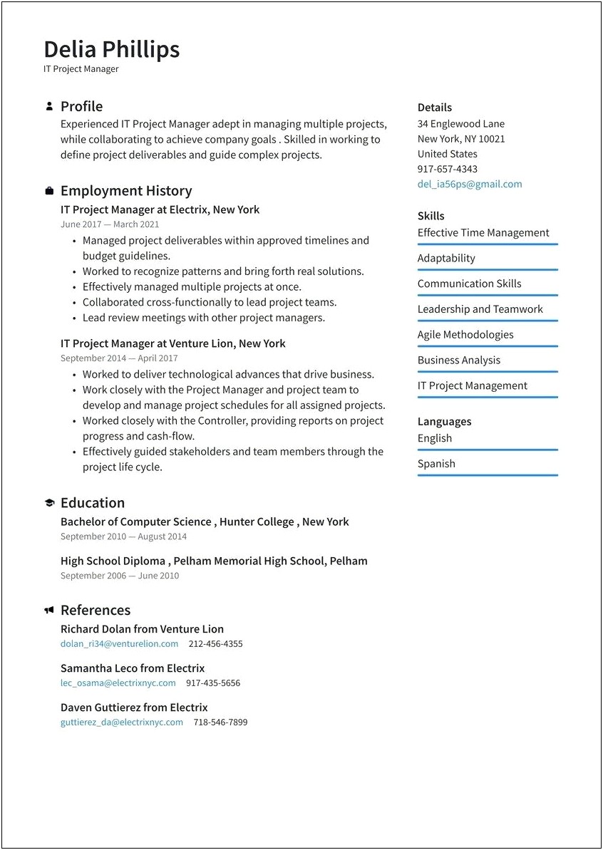 Real Resumes For It Project Manager