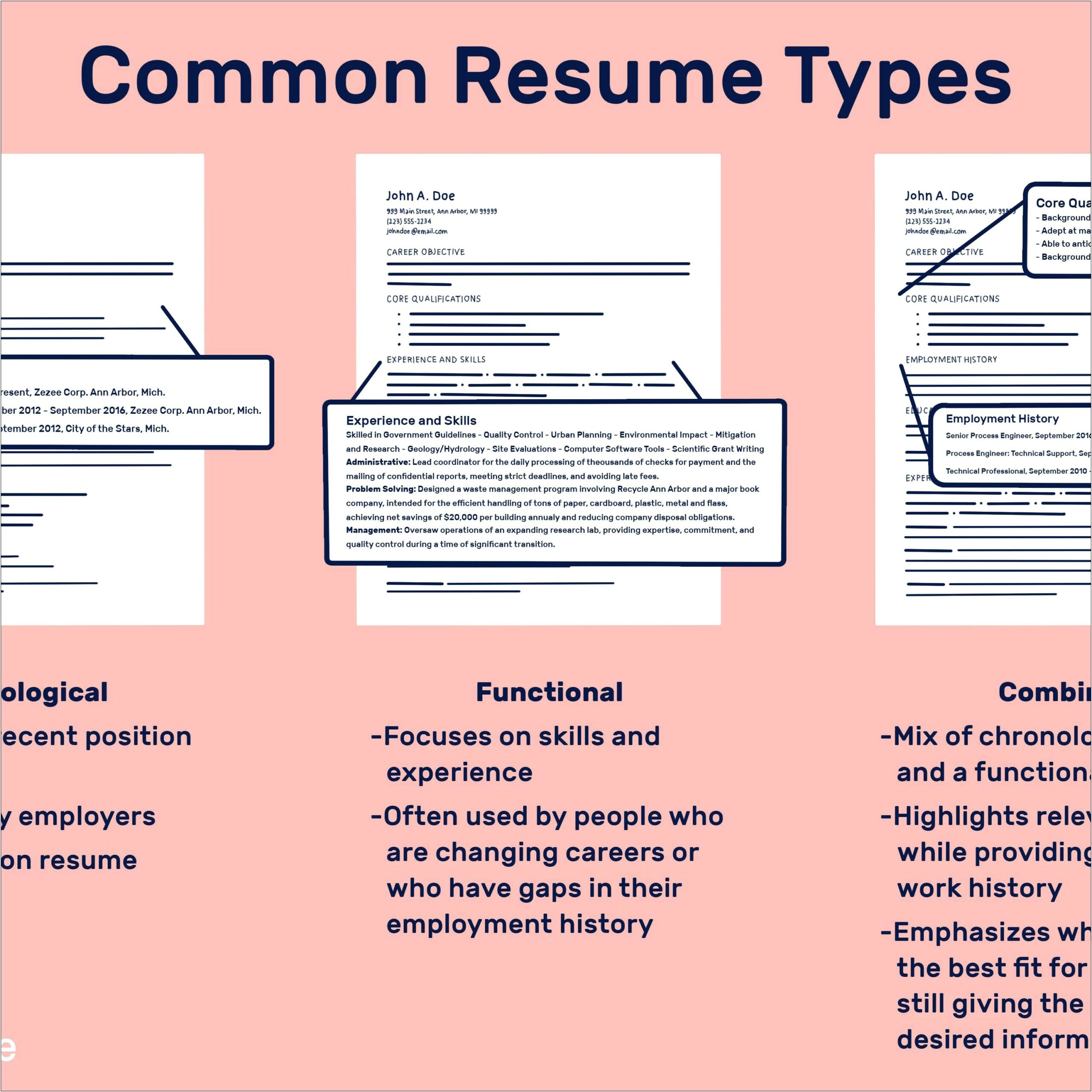 Resume Cross Over Summary Print To Web