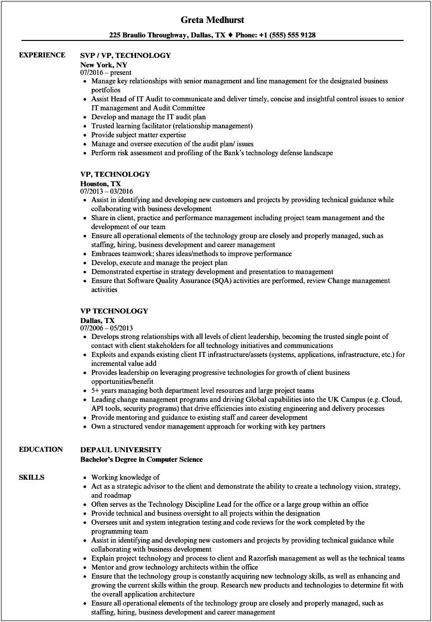 Resume Example For Vp Of Operations