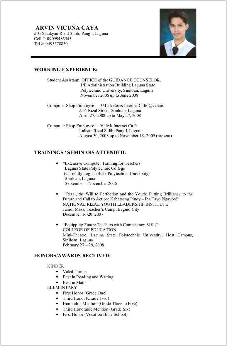 Resume Examples For A Job Application