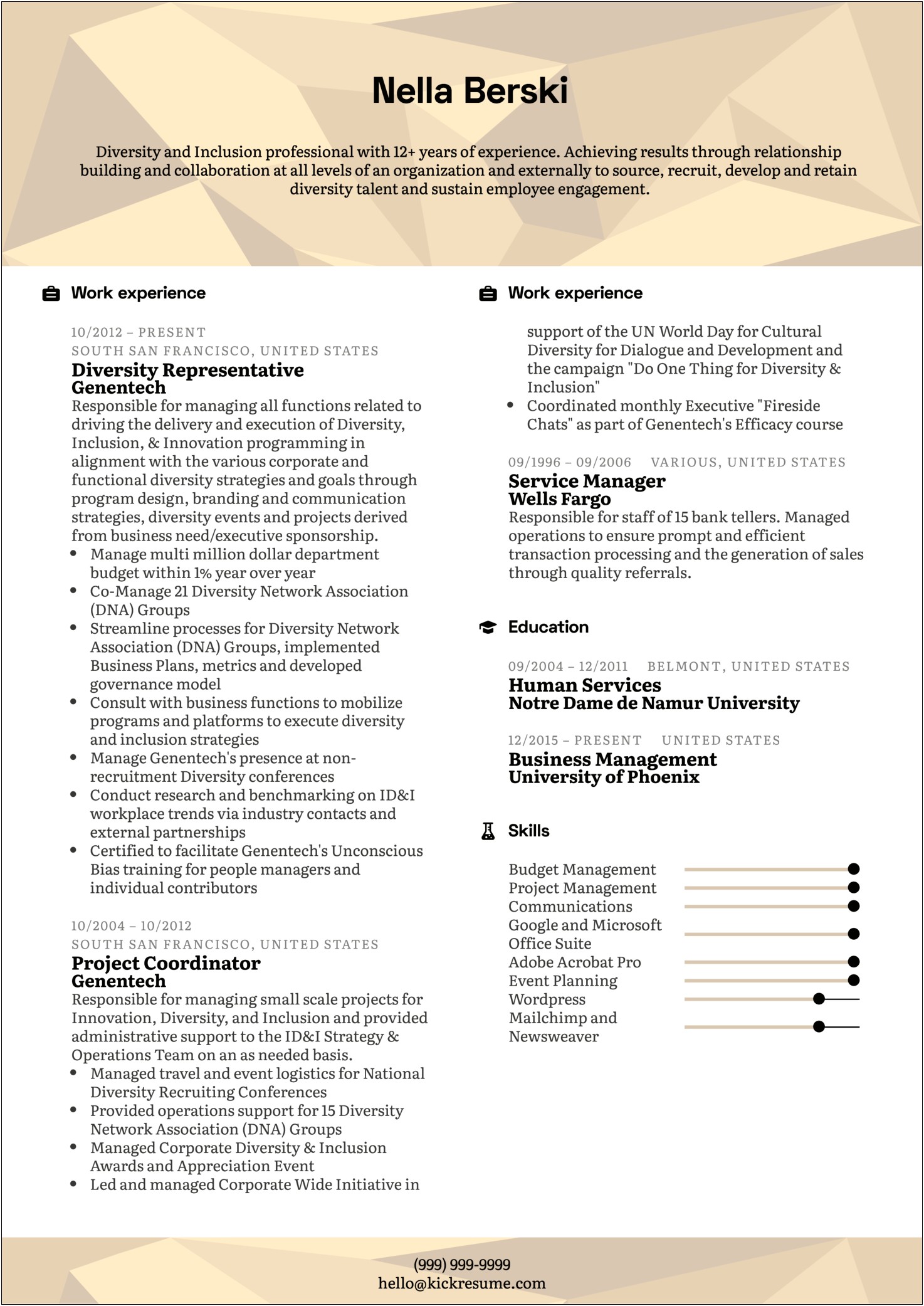 Resume Examples Telecommunications Director Of Operations
