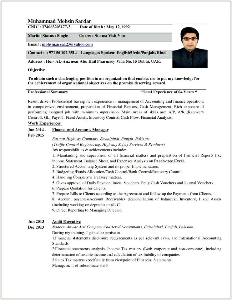 Resume For Income Tax Audit Jobs