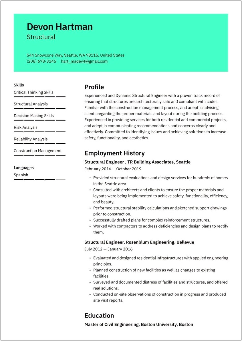 Resume Format Examples In Civil Structural Draughtsman