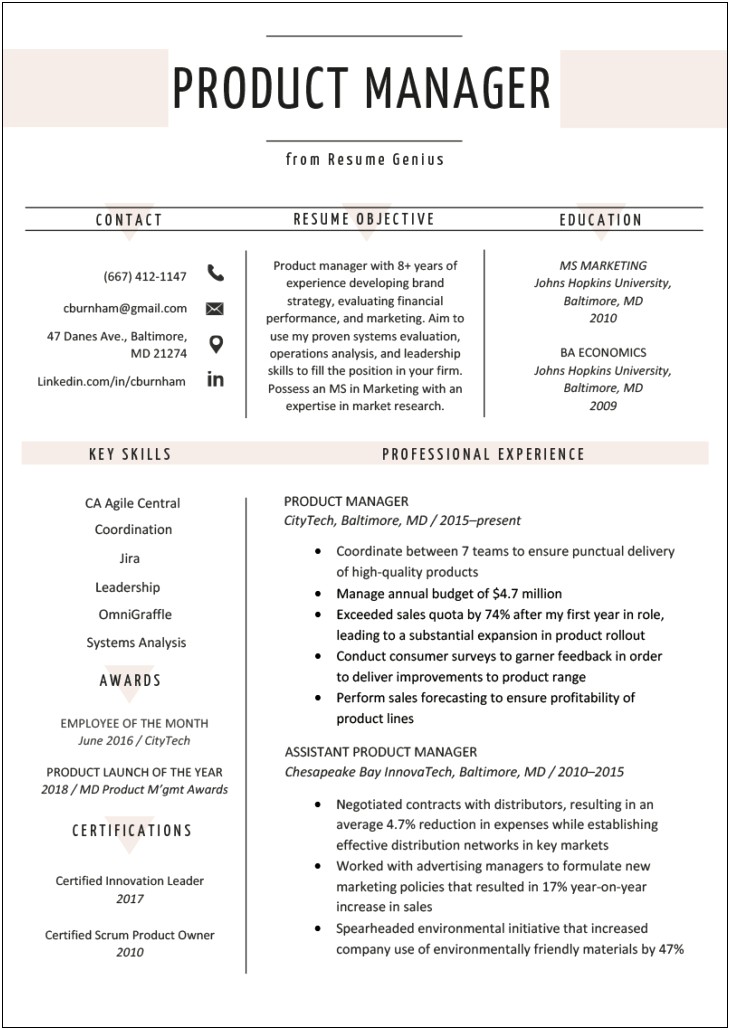Resume Format For Collection Manager Jobs