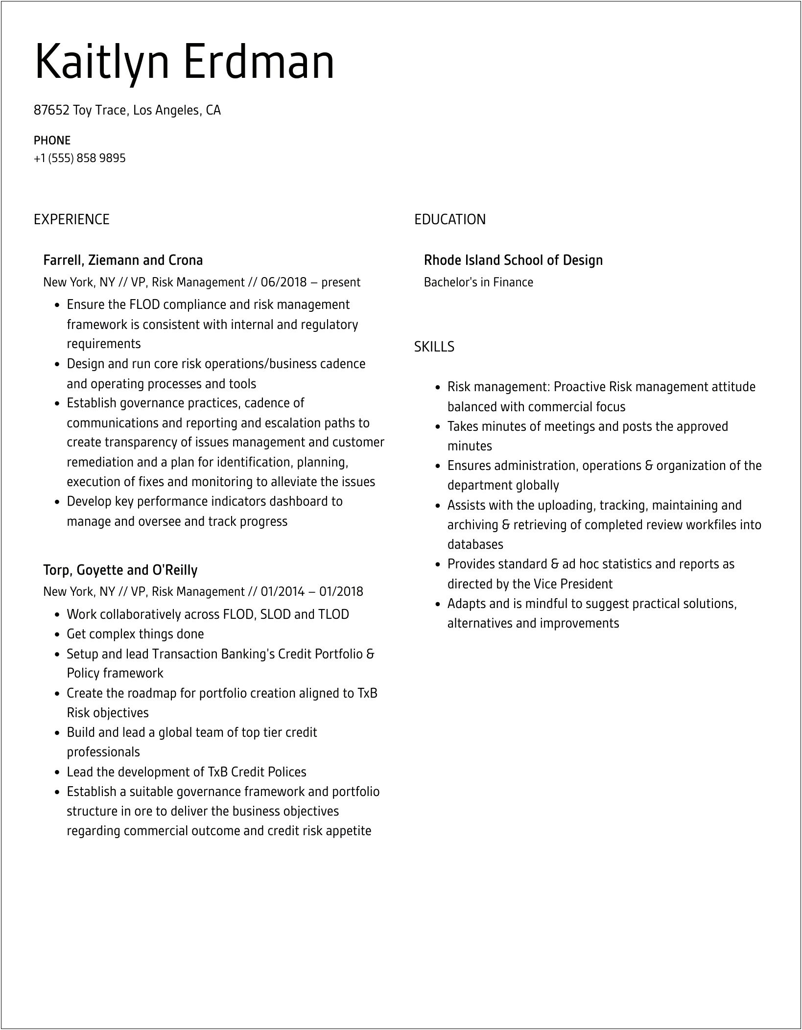 Resume Forsenior Vice President Producer Insurance Risk Management