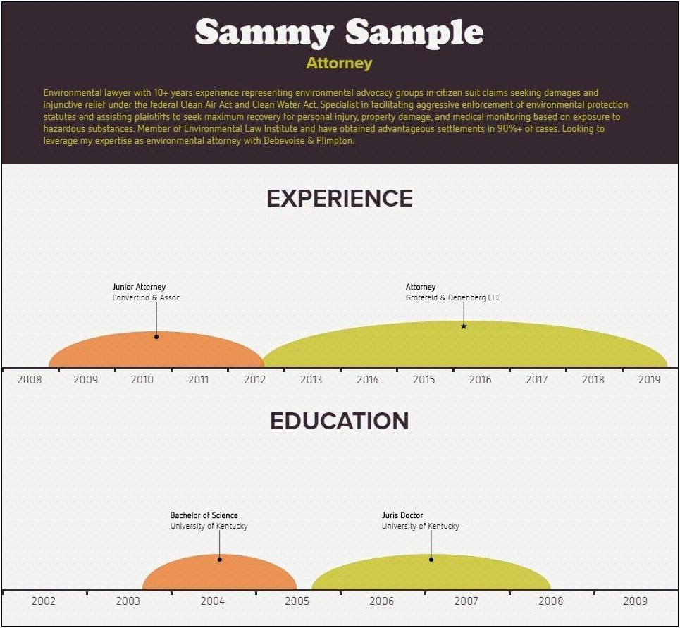 Resume Infographic Many Years Of Experience