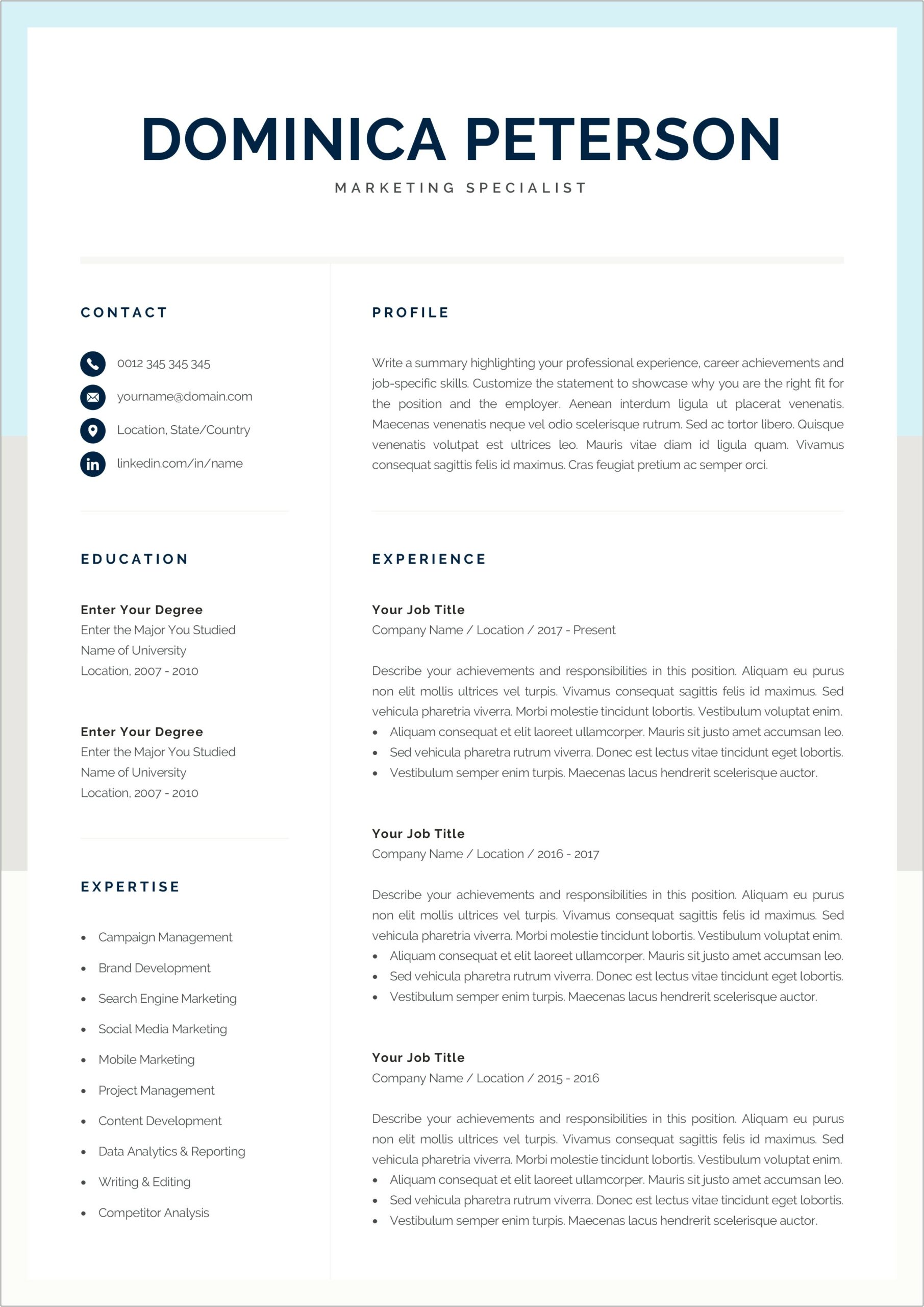 Resume Layouts For Microsoft Word 2007
