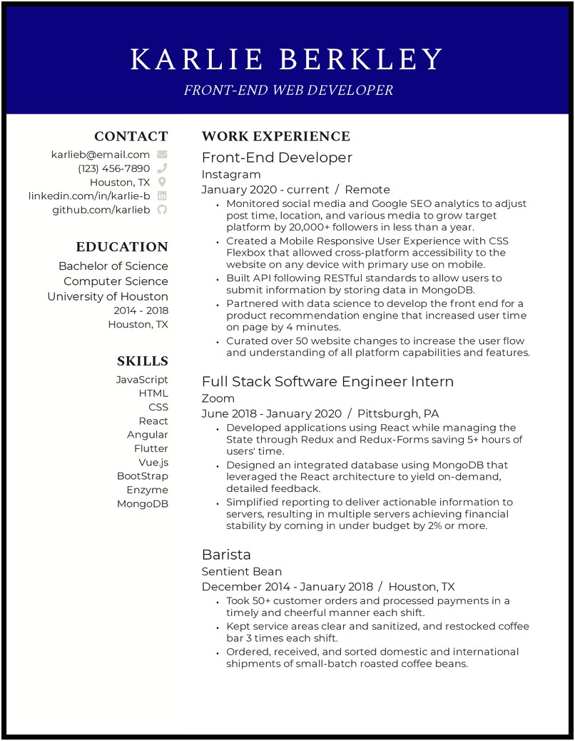 Resume Objective Examples For Web Developer