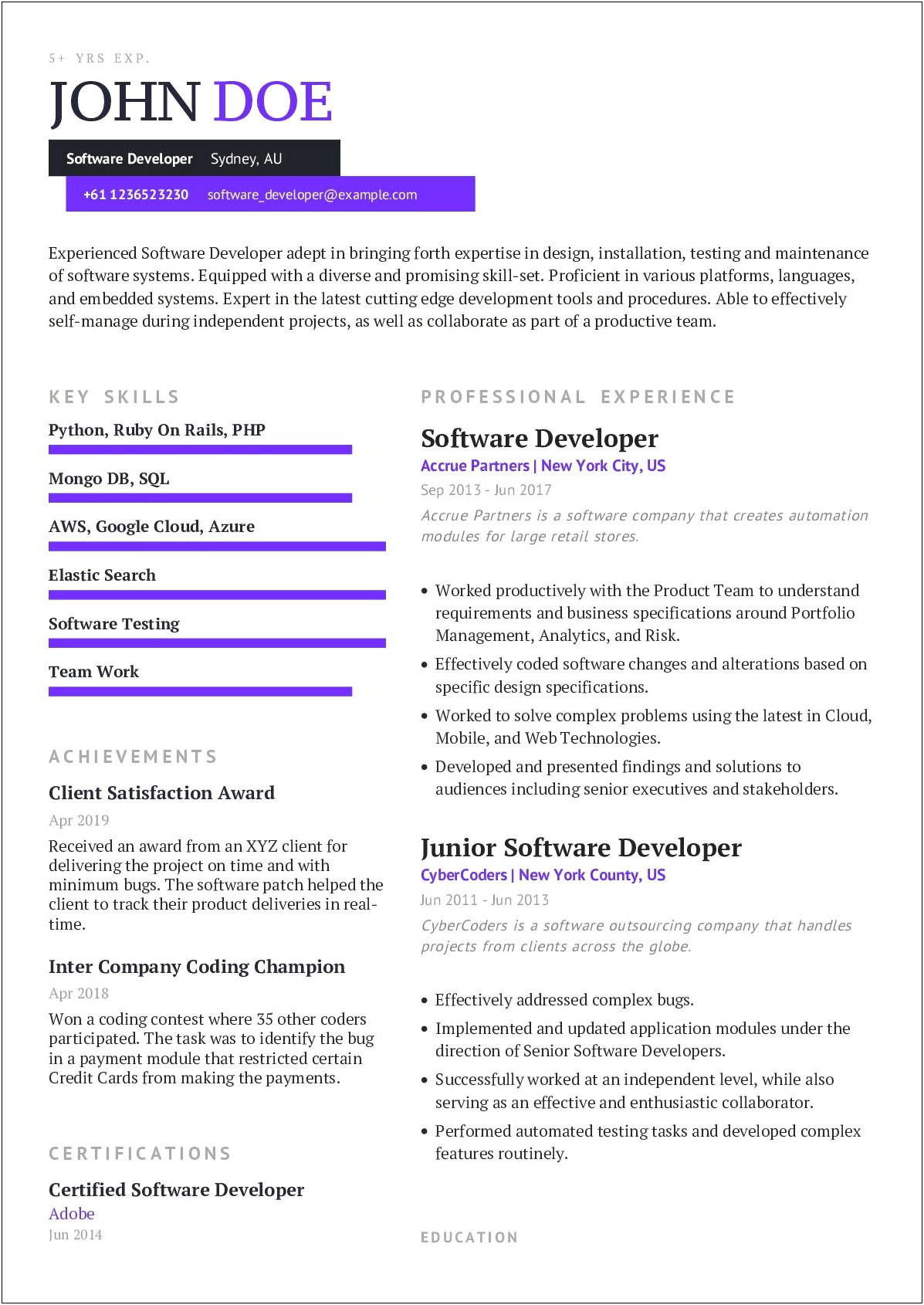 Resume Of Developer With Experience