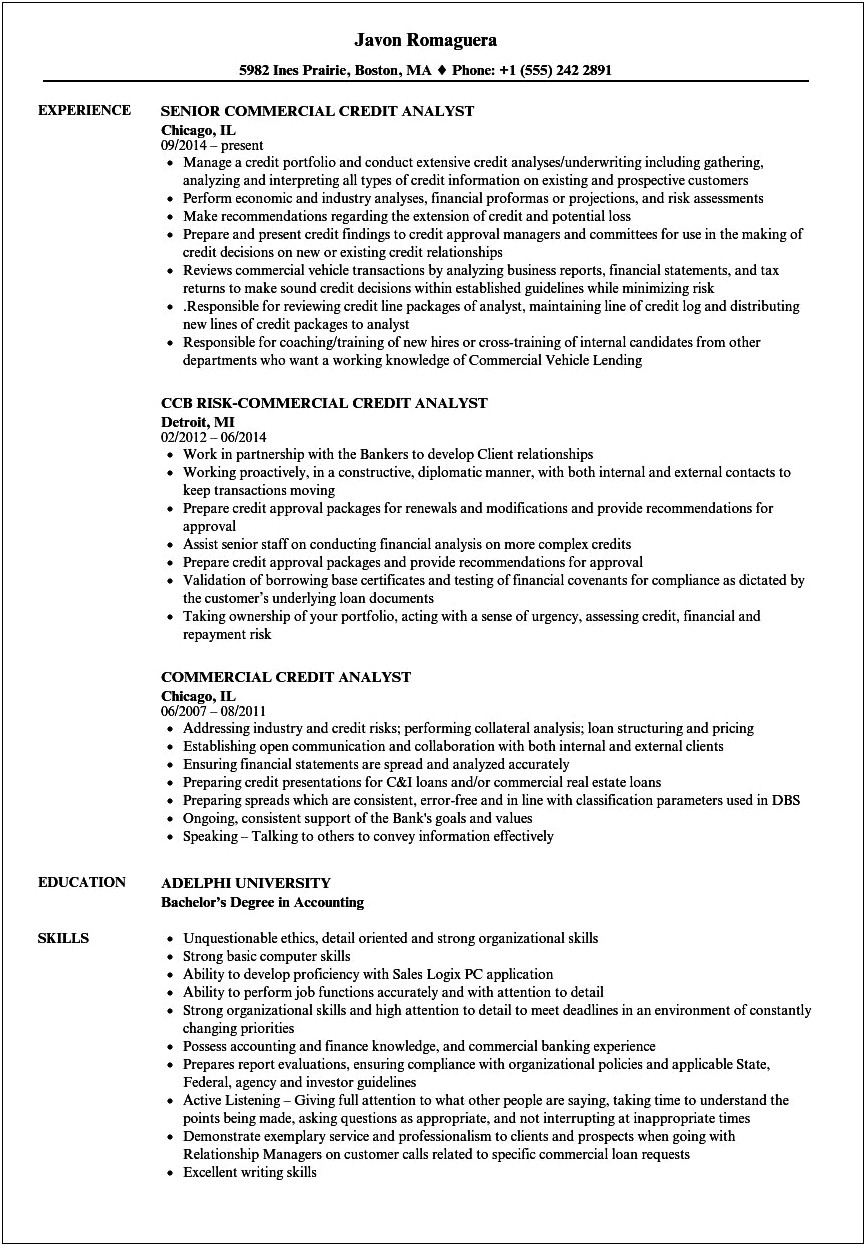 Resume Samples For Credit Manager India
