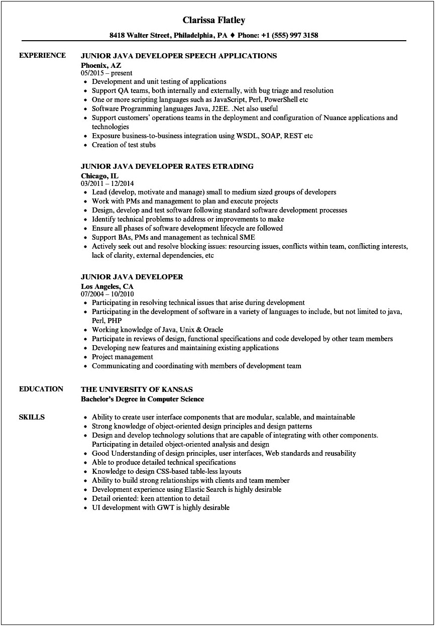 Resume Samples For Experienced Java Professionals