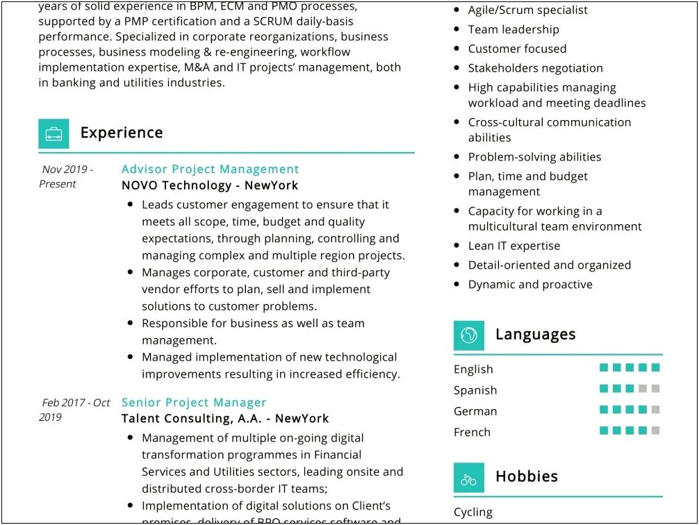 Resume Samples For Senior Project Management