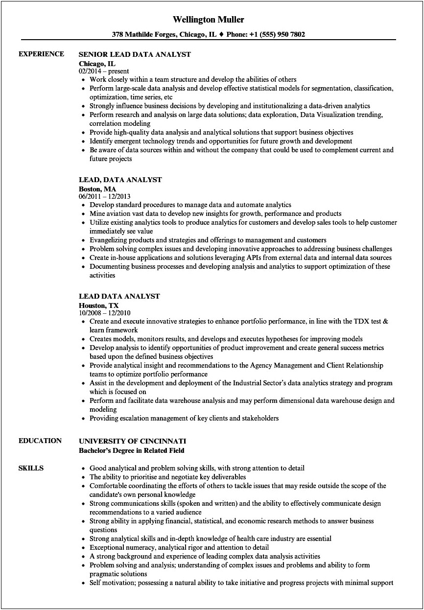 Resume Summaries For Data Analyst Ppbe