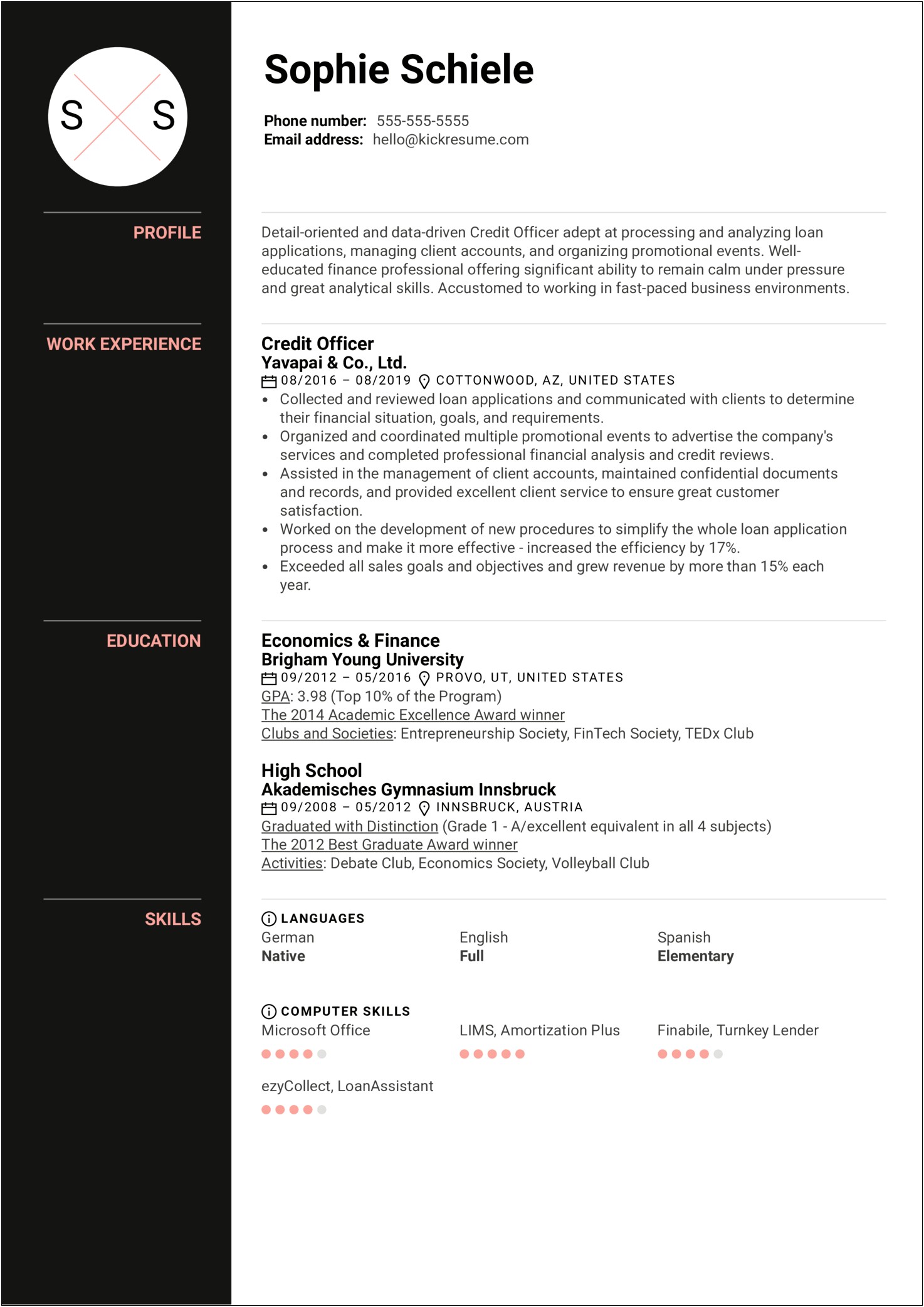 Resume Summary Examples For Loan Officers