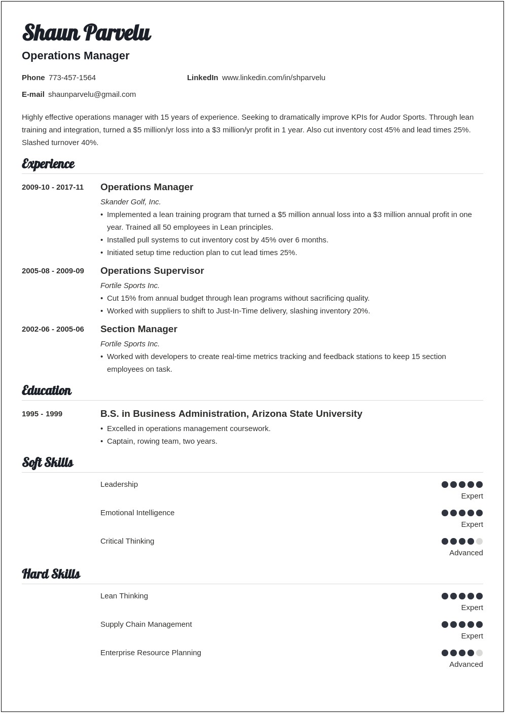 Resume Summary Examples For Operations Manager