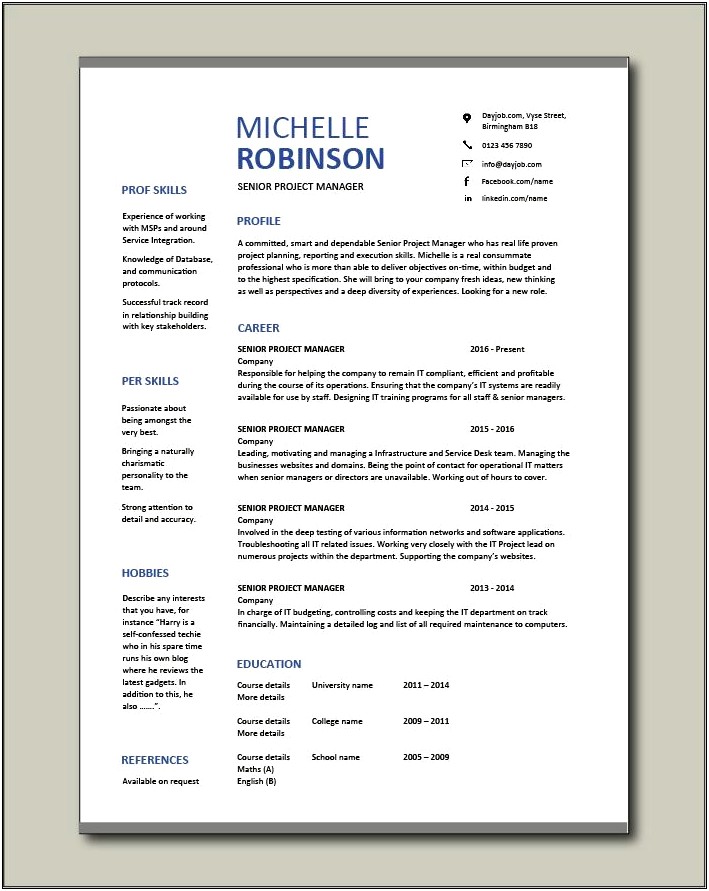 Resume Summary For Construction Project Manager