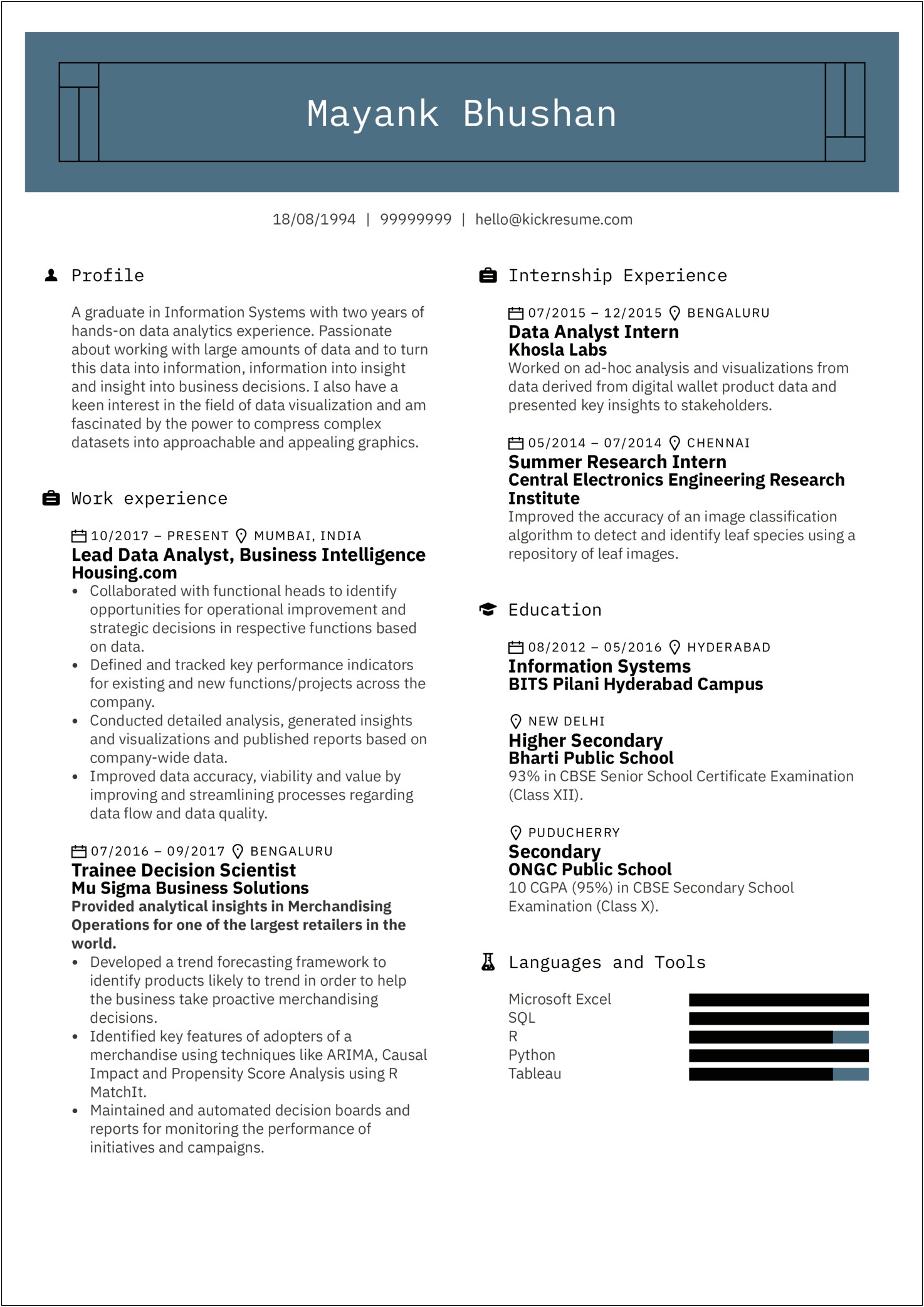 Resume Summary For Multiple It Professional
