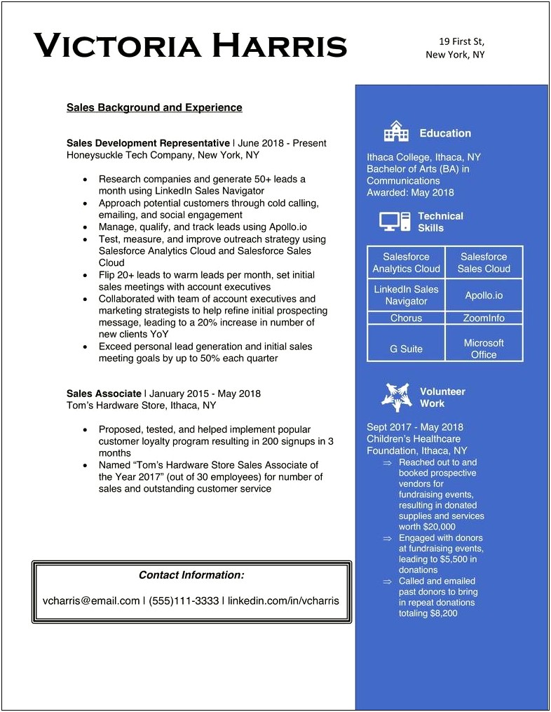 Resume Summary Statement Examples The Muse